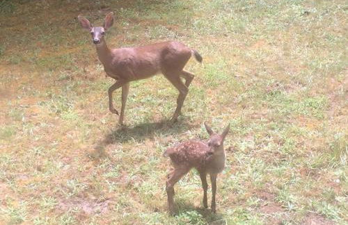 The Storybook Cottage - Foto 10