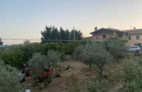 Agriturismo Casa Orsini - Foto 41