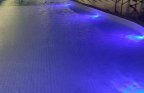 Vivance Paiva - Foto 52