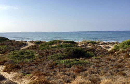 Apartamento Dunas Cabopino - Photo 31