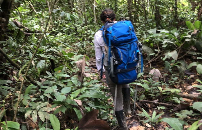 Tour di 3 giorni nella foresta amazzonica - Foto 7