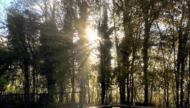 BeeHouse - La Casa delle Api Agriturismo - Foto 4, Garden