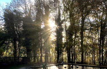 BeeHouse - La Casa delle Api Agriturismo - Photo 4