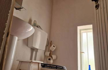 Monte das Aranhas - Foto 78