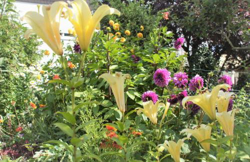 Ferienwohnung Hofmann - Foto 6