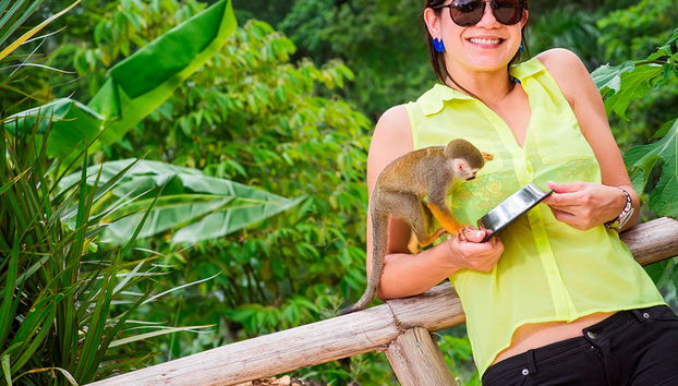 Parque Monkey Land - Foto 5