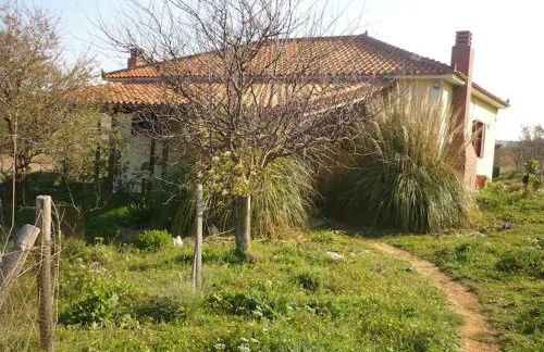 HAVOULI STUDIO 1 - Foto 1