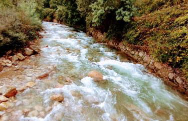 Quinta dos Picarotos - Foto 12