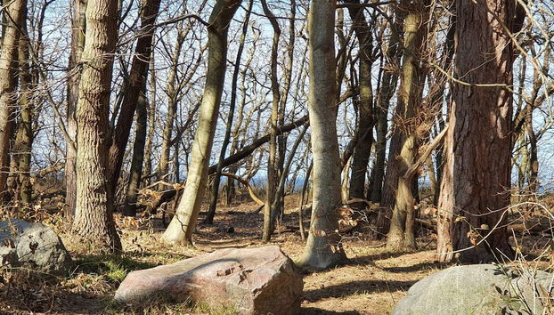 8 Person Holiday Home in Asnaes-by Traum - Photo 4