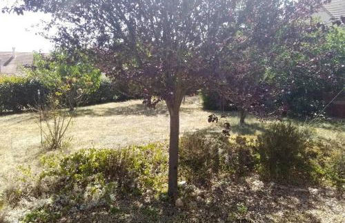 Le Lizard, un gîte pour vos passions nature - Photo 9