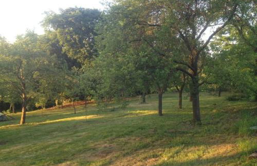 Jäschner Villa Luftig - Foto 23