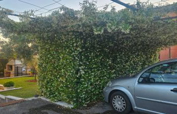 Apartment Kris - Foto 36