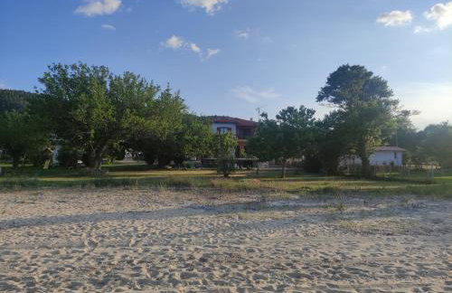 Bright, Beachfront Apartment with free parking and garden - Photo 1