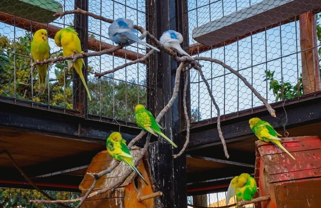 Parcela Los Nonos - Foto 15