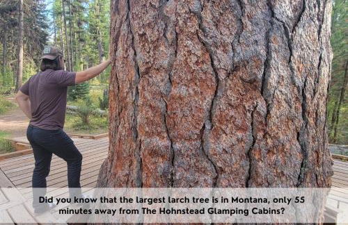 The Ranch Hand Cabin at The Hohnstead - Foto 41