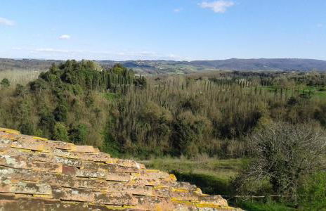 Mulino a vento - Foto 38