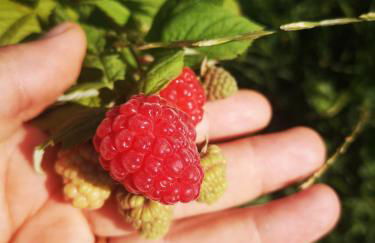 Agriturismo Pentafora - Foto 7