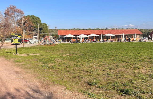 Ayvalık Sural Çiftliği Since 1899 - Foto 39