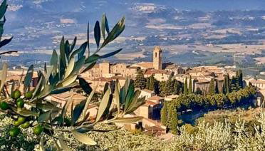 Orlando House 1975 - Foto 5