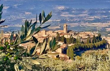 Orlando House 1975 - Foto 2