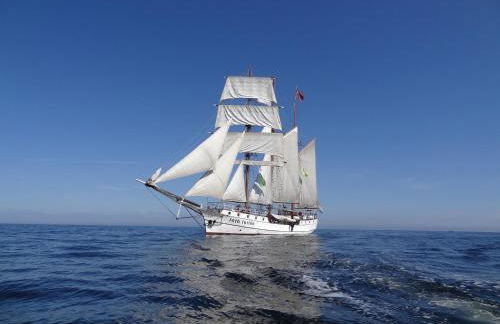 FeWo Machedanz zentrumsnah & ruhig Timmendorfer Strand - Foto 20