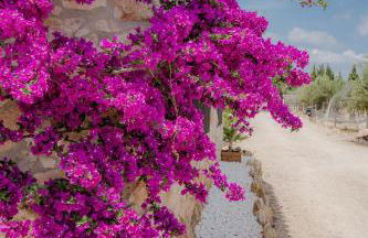 Villa Rural Avril - Foto 71