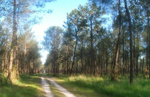 Superbe maison finlandaise en bois - Foto 11