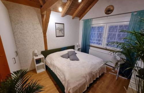 Gemütliche Dachgeschosswohnung - Foto 1