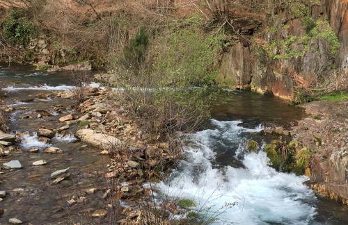 Casa do Volfrâmio - Foto 43