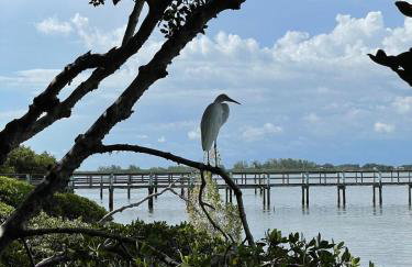 Remote Island Retreat with Private Ferry, Pool, Beach - Foto 43