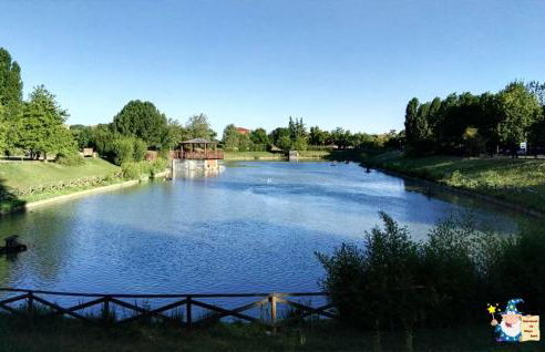 Mago Zurli' - Foto 7