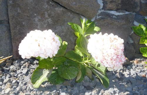 Casas Alto da Bonança - Photo 38