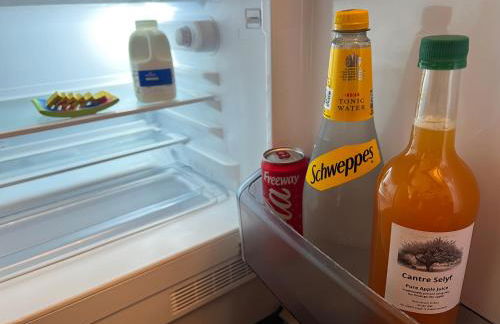 Cantre Selyf - Foto 28