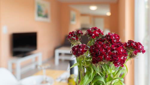 Comfy Apartment Köln - Foto 3