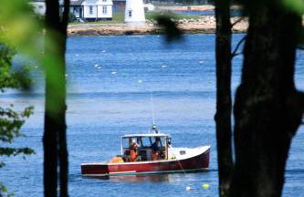 Dragonwood Castle on Waterfront with Stunning View - Foto 29