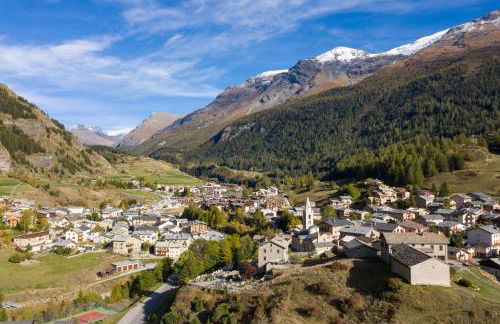 Fleurs et Neige - Foto 71