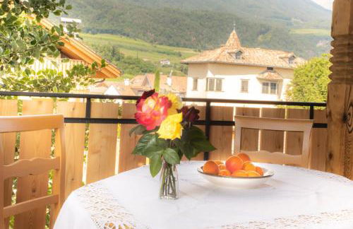 Obstbauernhof Bundschuh - Dogs welcome - Photo 6