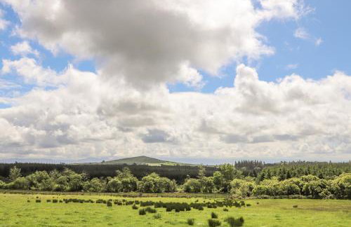 Caban Cwtch The Cosy Cabin - Foto 35