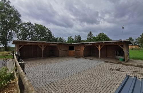 Traumhaftes Ferienhaus an der Nordseeküste - Foto 13