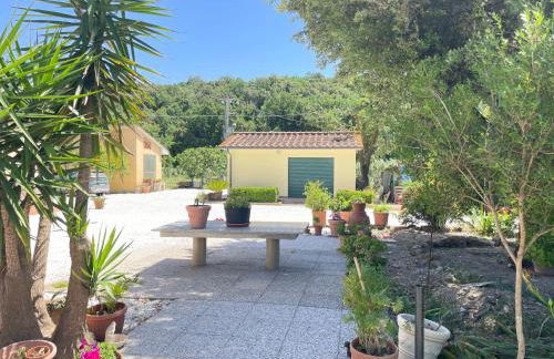 Il Leccio Agriturismo - Foto 68