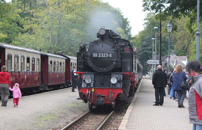Landhaus Ferienwohnung in Gorow - Photo 25