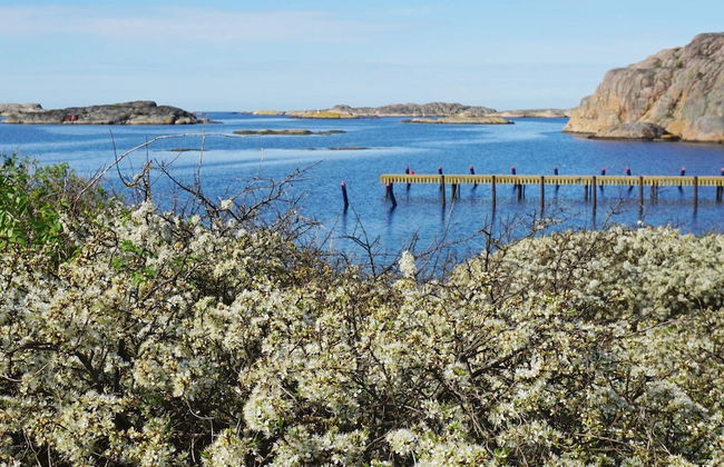 4 Star Holiday Home in Hamburgsund - Foto 23