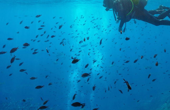 Curso de buceo PADI Open Water - Foto 1