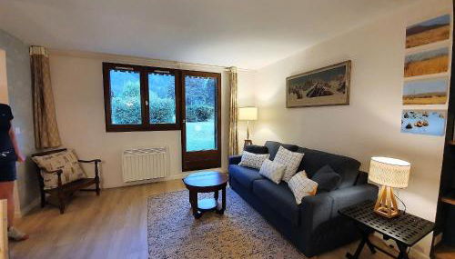 Chamonix Appartement Vue Mont Blanc avec jardin - Foto 3