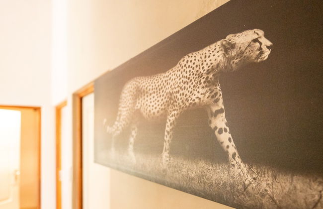 Bushriver Lodge - Photo 19