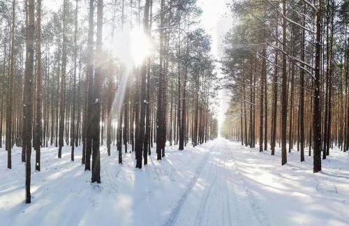 Gästesuite am Waldrand, Ausstieg auf Zeit - Foto 11