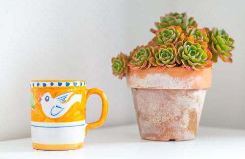 Starhost - La Casella seaview garden terrace and parking - Foto 31