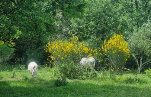 Chalet avec piscine privée dans la forêt - Foto 21