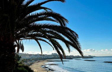 Mariposa Azul - Foto 44