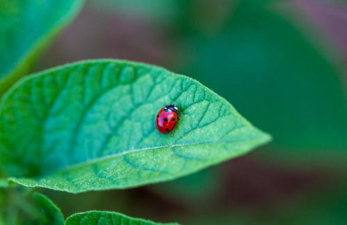 Kuća za odmor Divna MaTi - Foto 39